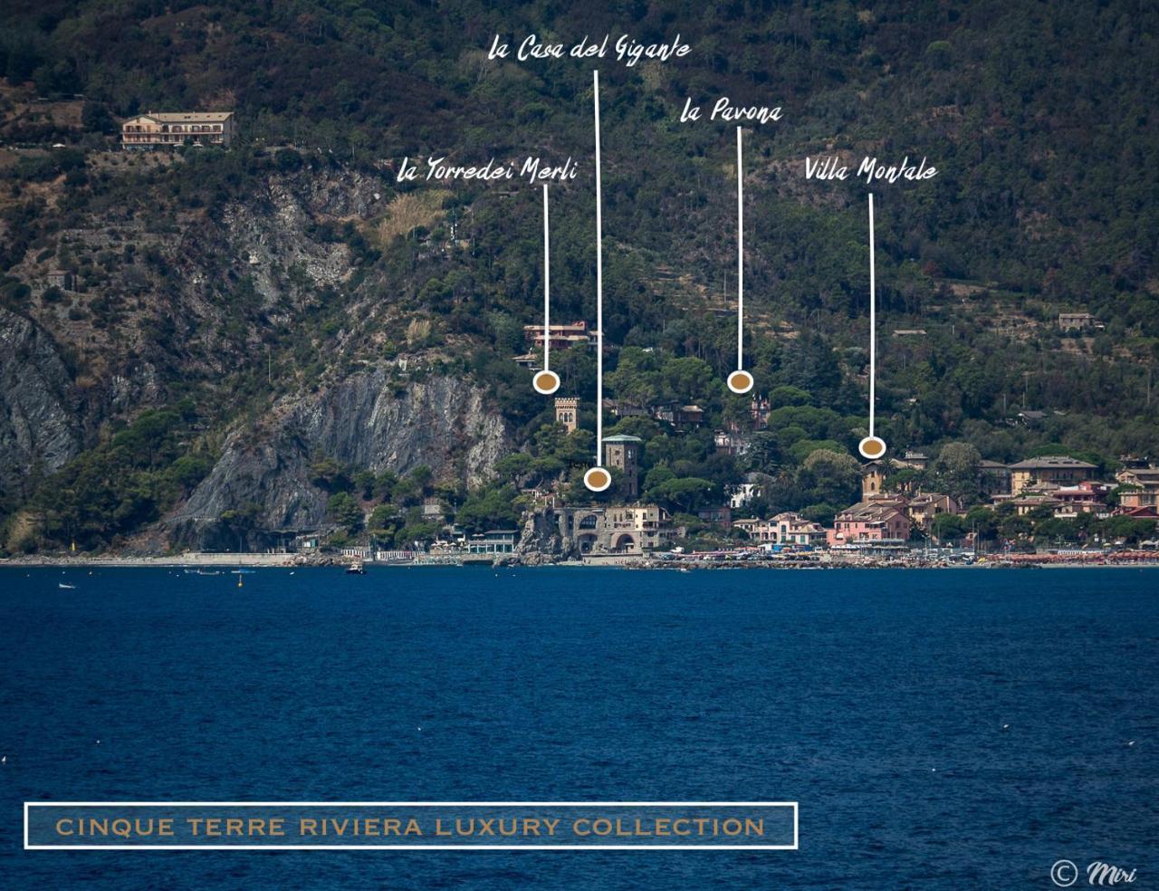 Villa Montale Apartment I Limoni Monterosso al Mare Exterior foto